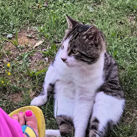 W La Stanza Gasthof 3*